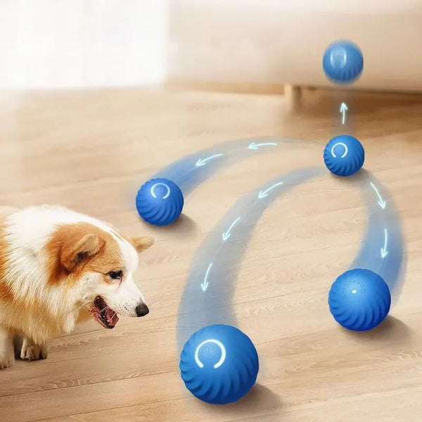 Interactive Pet Toys