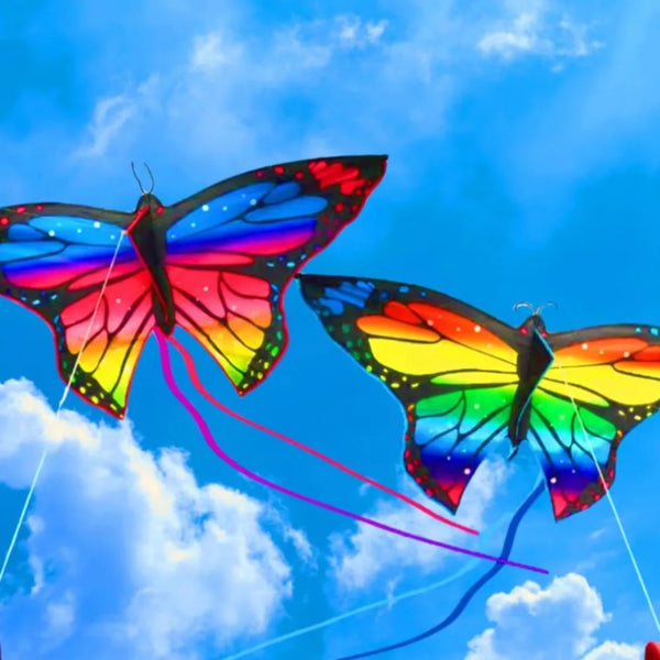 Colorful Butterfly Kite