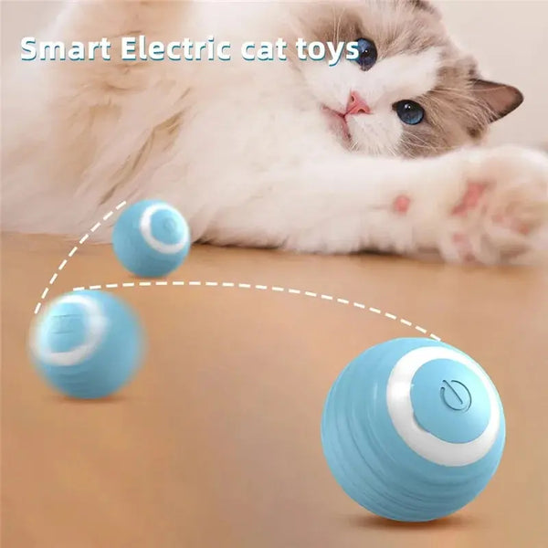 Cat Interactive Ball Training