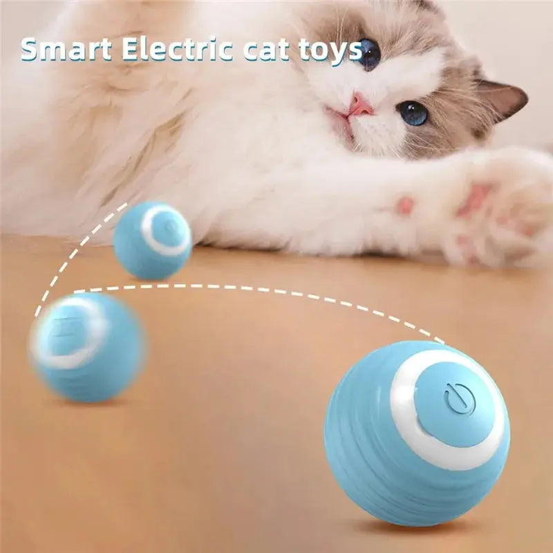 Cat Interactive Ball Training