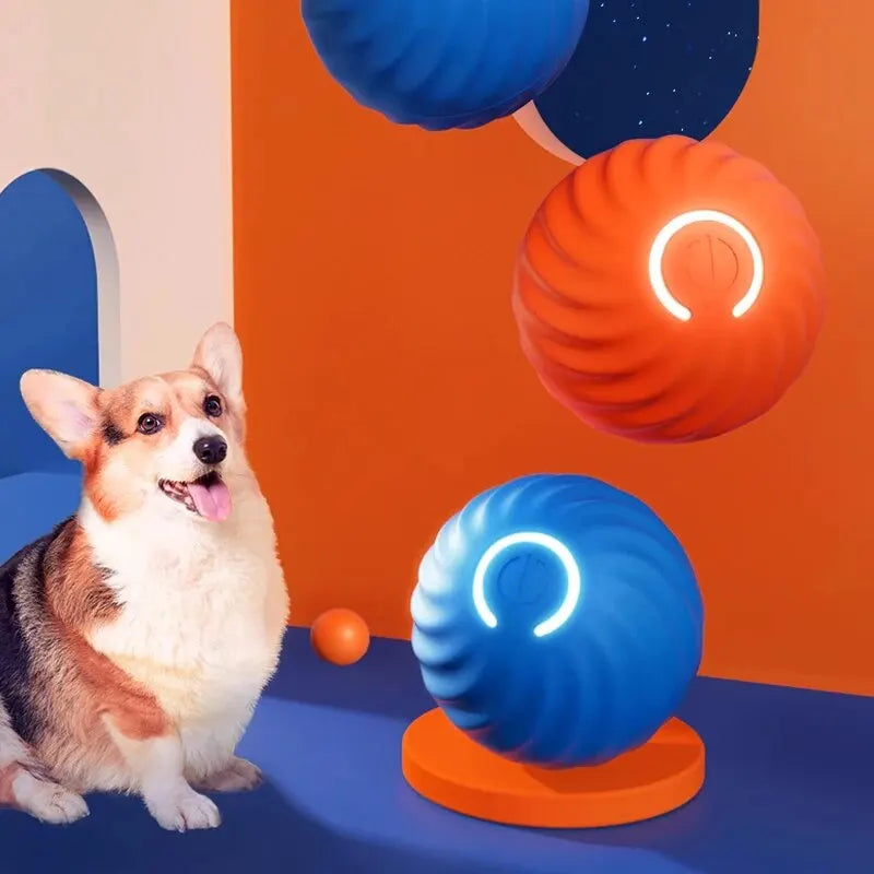 Interactive Pet Toys