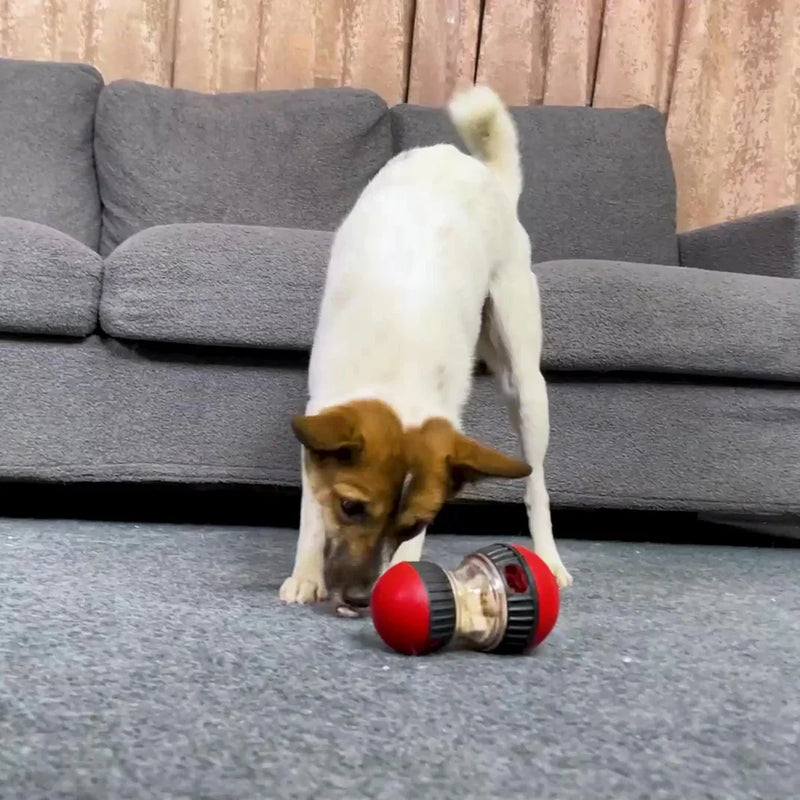 Dogs Cat Slow Dog Feeder Ball